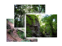 R�m-szakad�k