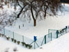 Cold invitation Cold invitation